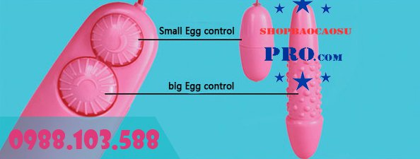 cách sử dụng sextoy trứng rung đôi